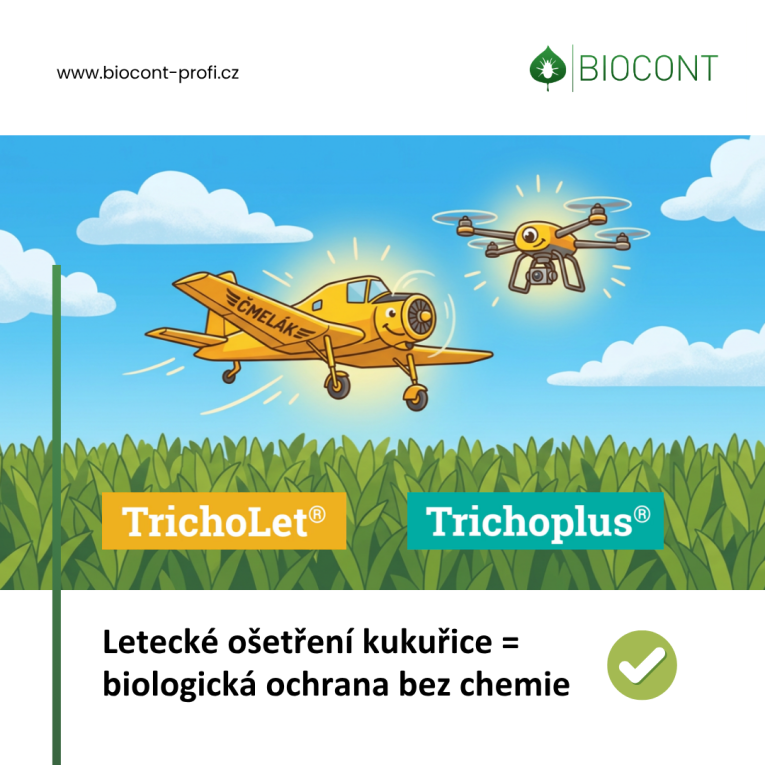 Tricholet