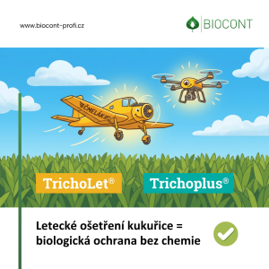 Tricholet